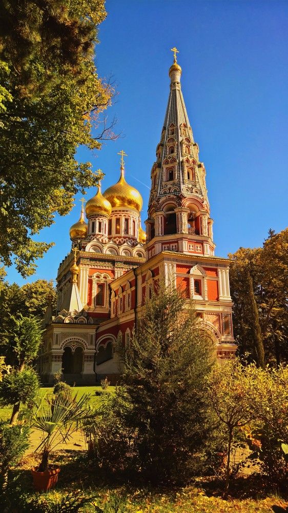 Фотография автора OLEG MOZHEVIN