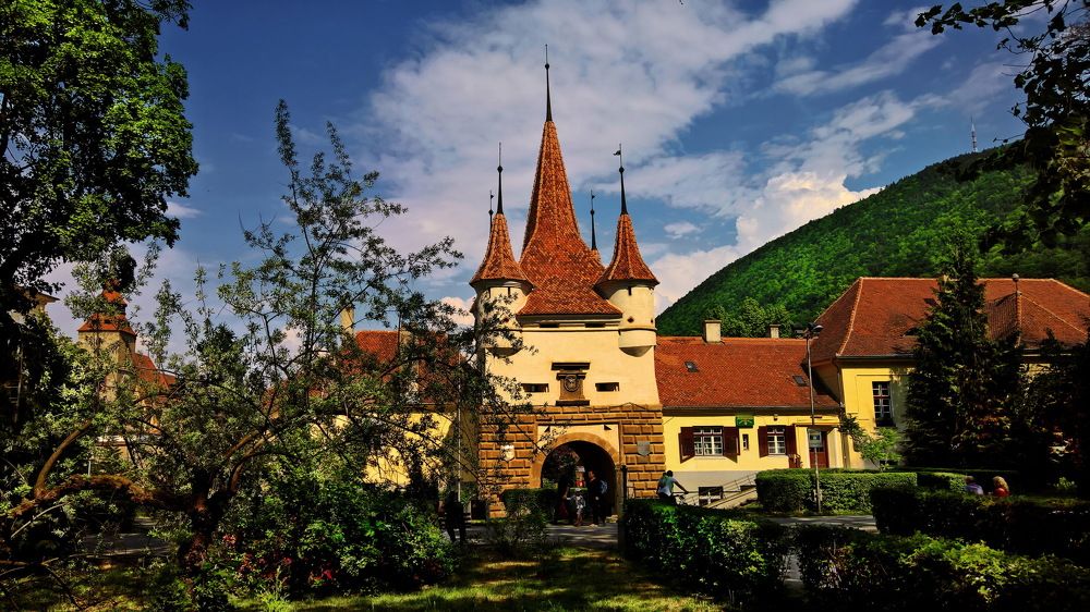 Фотография автора OLEG MOZHEVIN