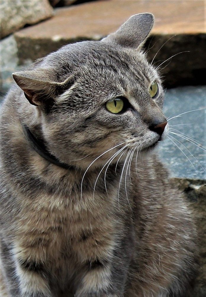 Photograph by Vilija Minikeviciute