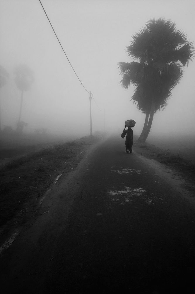 Photograph by Yashasvi