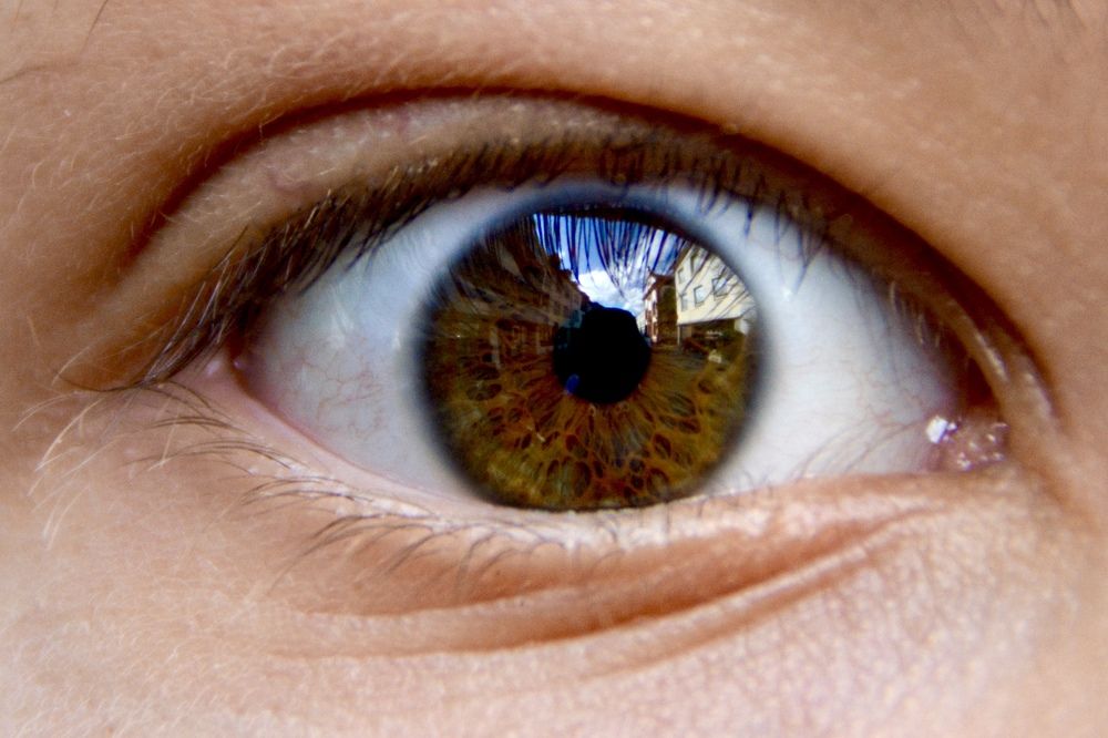 нюренберг , глазами ребенка