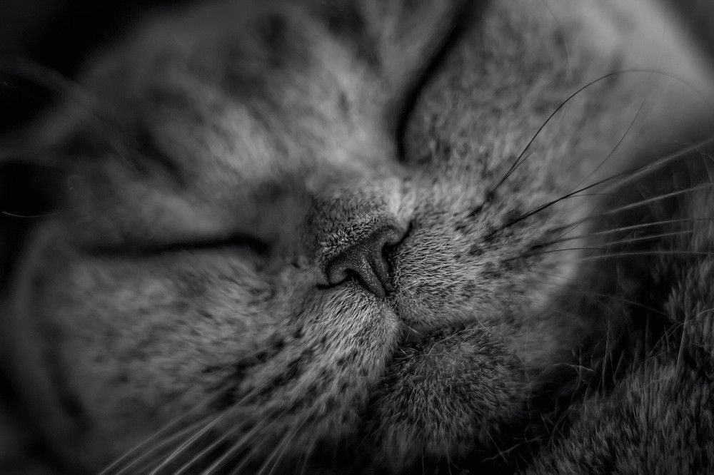 Photograph by Диана Лукашевич