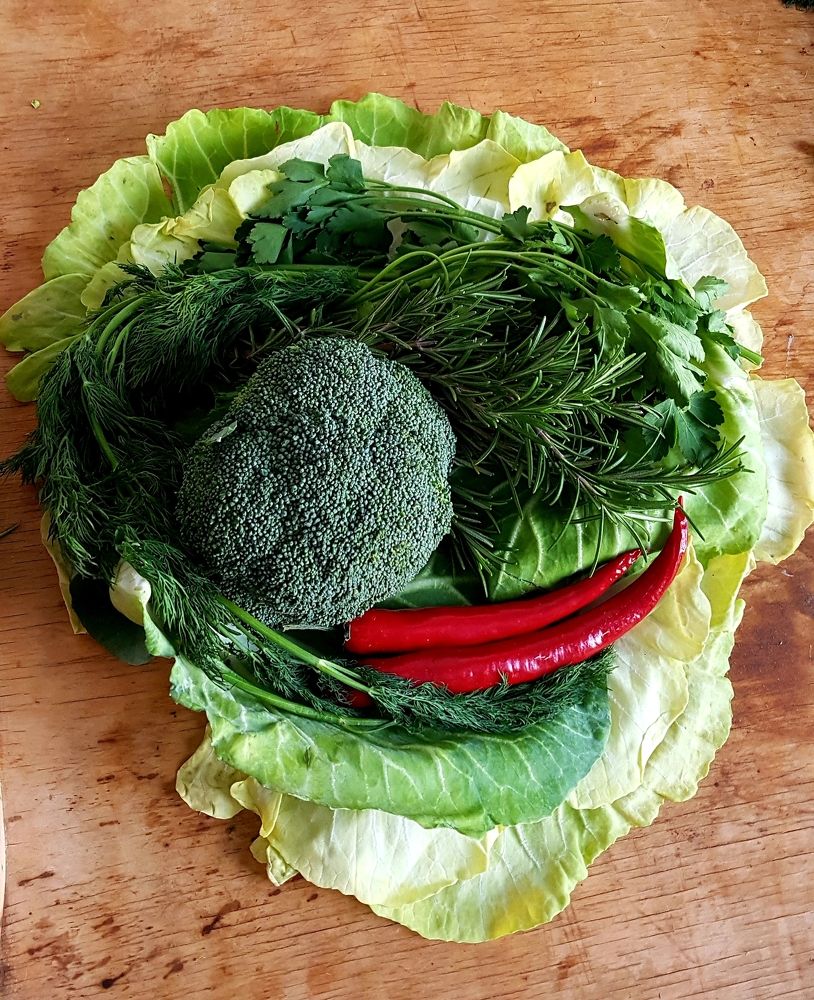 Photograph by Инга Сабанова