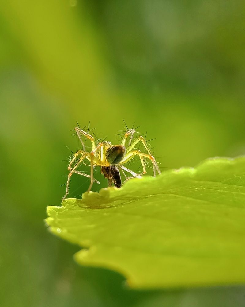 Photograph by Tomas Hadi