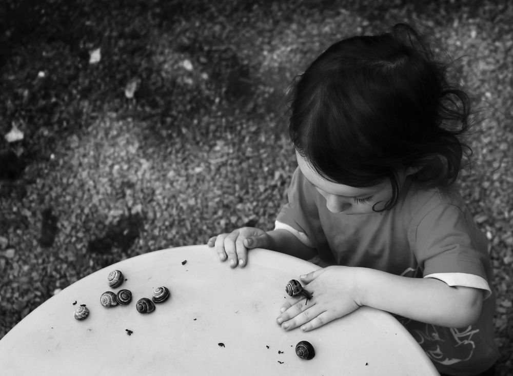 Photograph by Наталья Гайдар