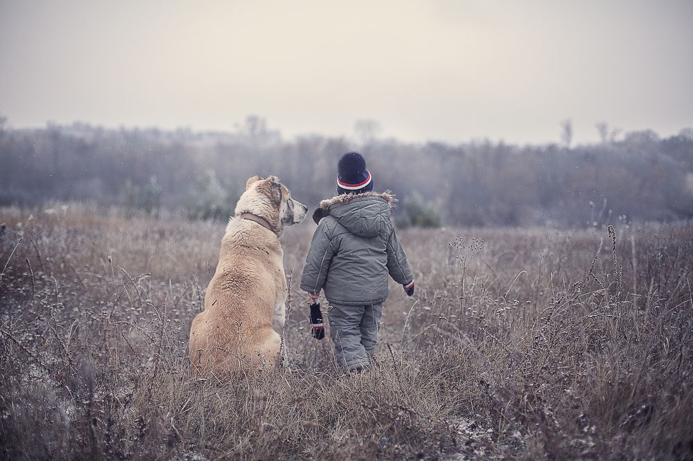 Photograph by Дарья Максимова