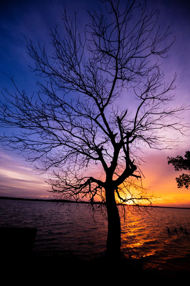 Photograph by Dileeka Giyantha Liyana Kankanamge