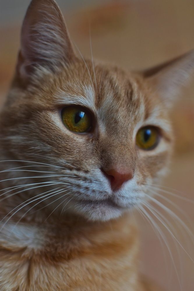 Photograph by Ольга Монаенкова