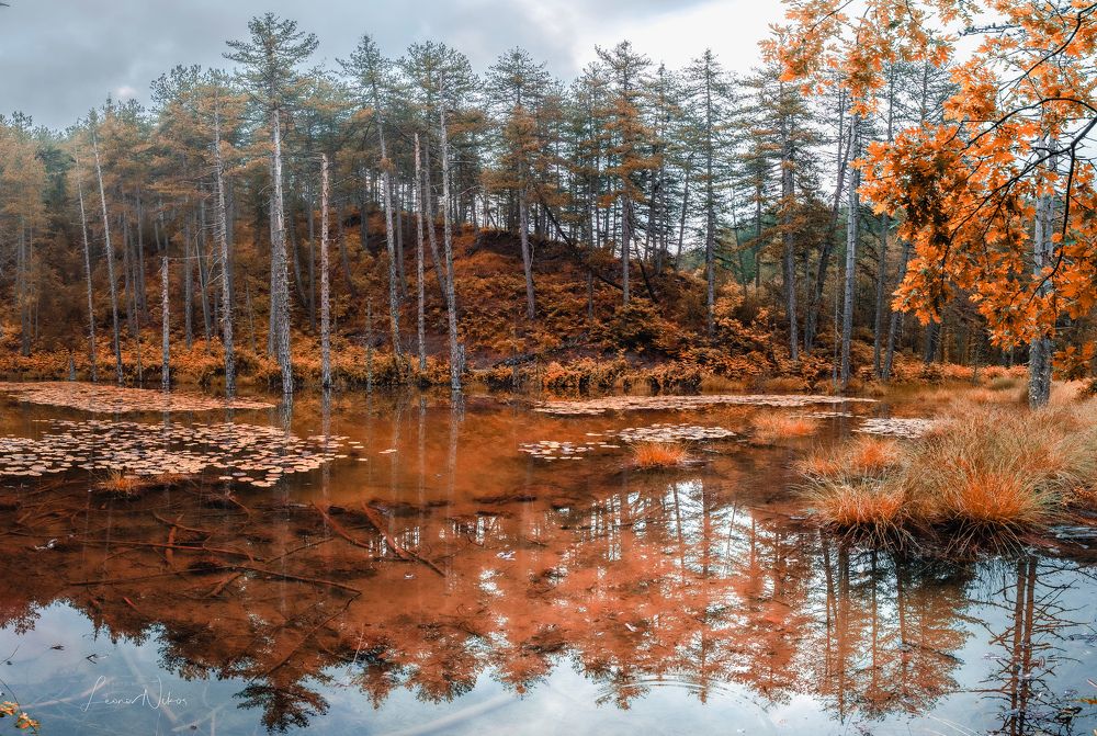 Фотография автора Nikos Leonov