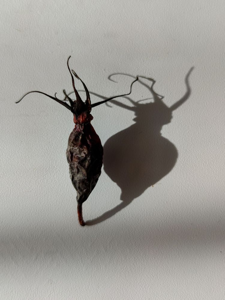 Photograph by Екатерина Зубарева