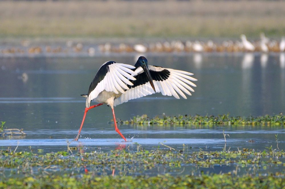 Photograph by Tanvir Ahmed