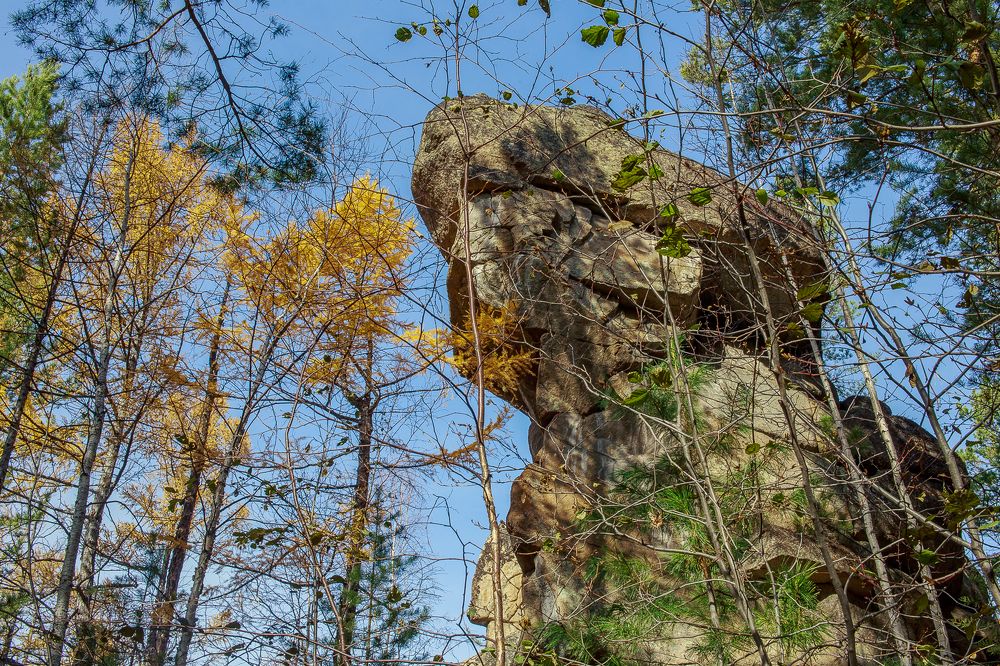 Фотография автора Оркина Ксения