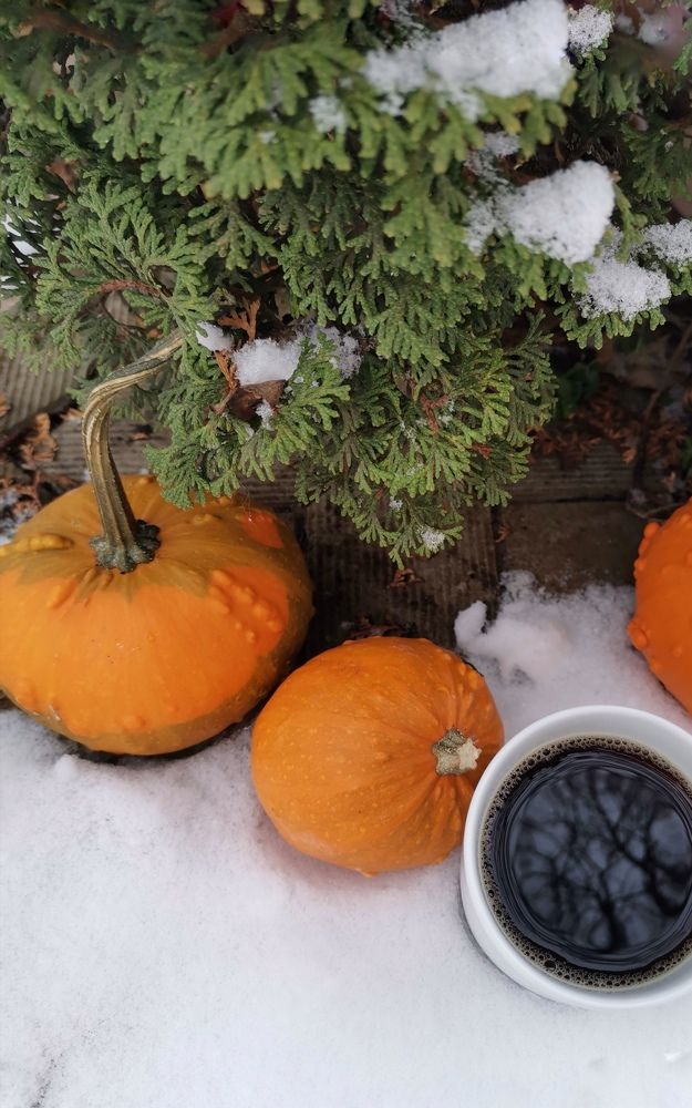 Photograph by Нина Сучкова