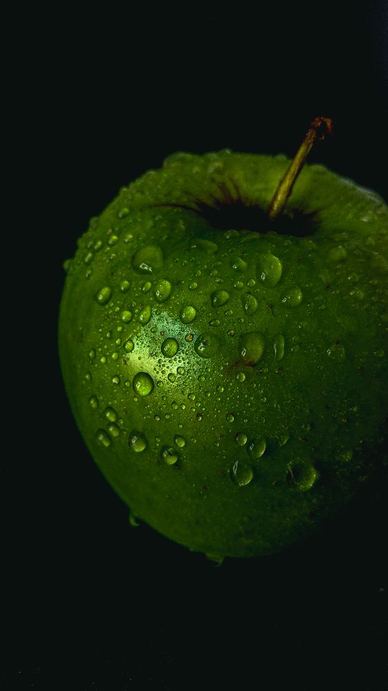 Photograph by Диана Галиуллина