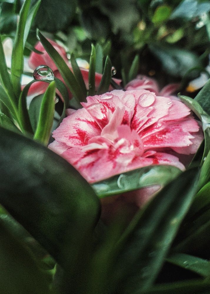 Photograph by Диана Галиуллина