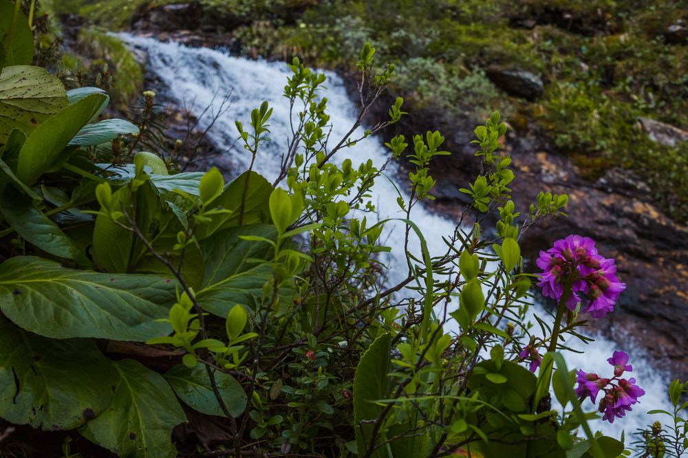 Фотография автора Оркина Ксения