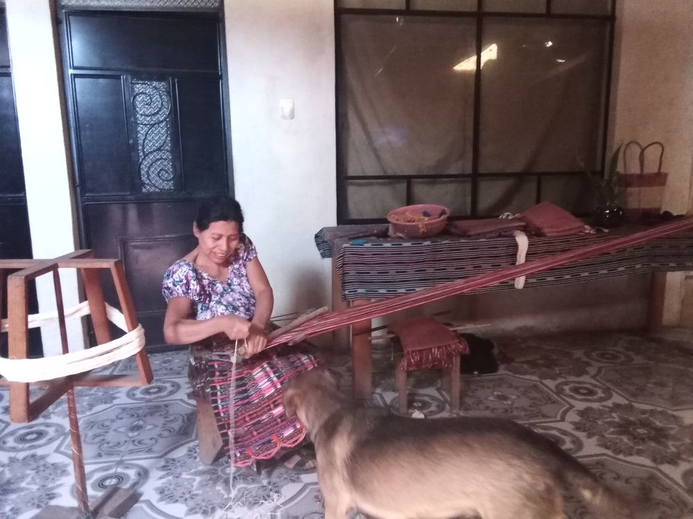 Photo #5953458