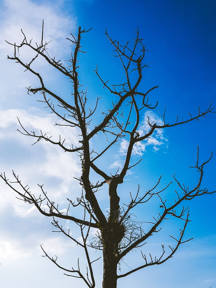 Photograph by Ipunk Agus Setiawan