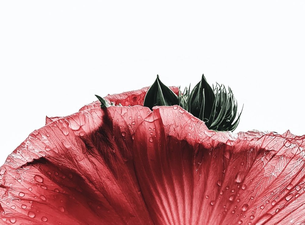 Photograph by Андрей Васильев