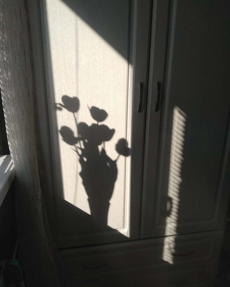 Фотография автора Елена Кобелева