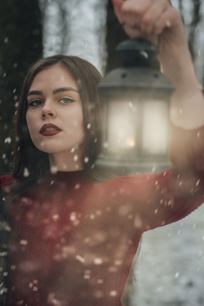 Сквозь метель