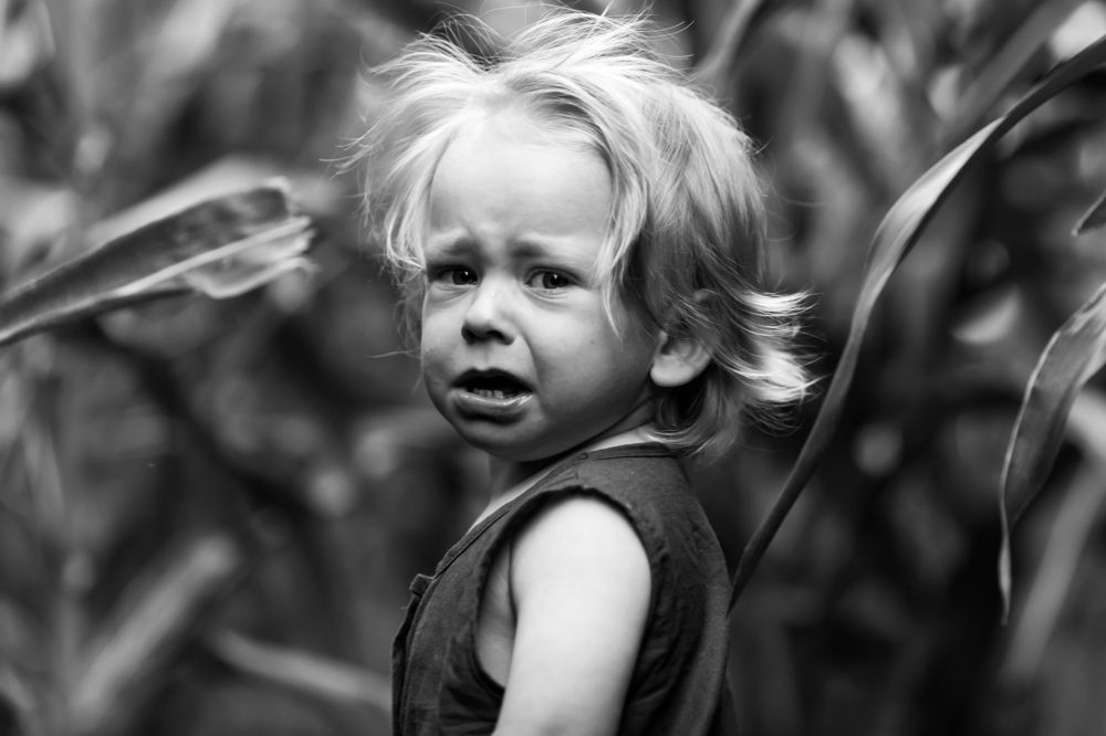 Photograph by Anna Chizh