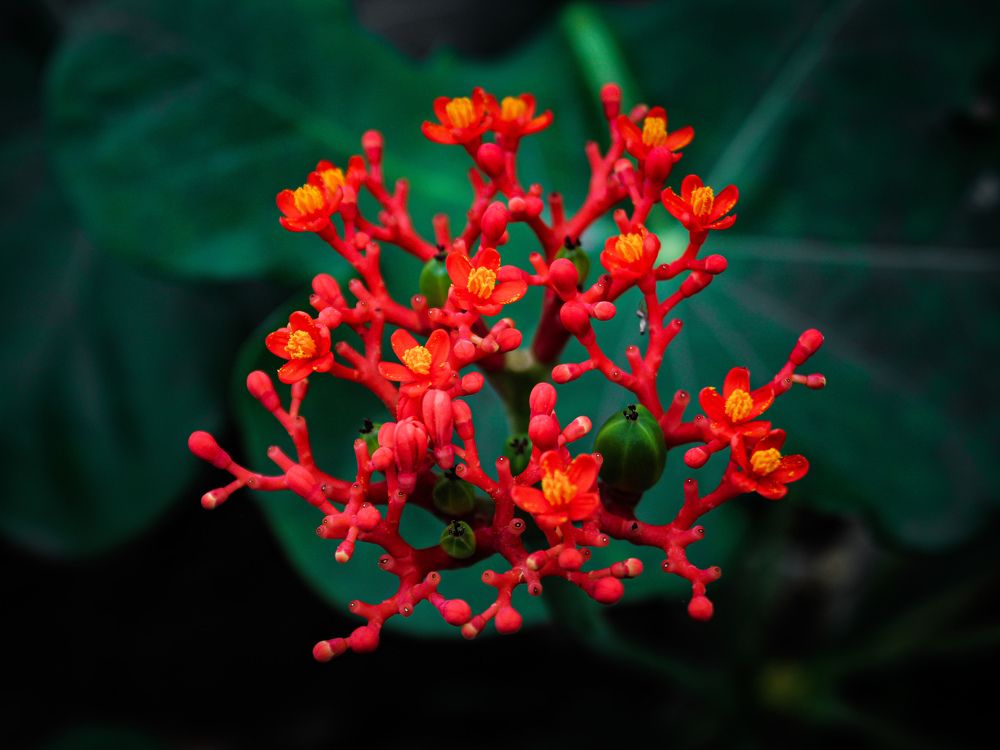 Interest Like a Chemical Reaction