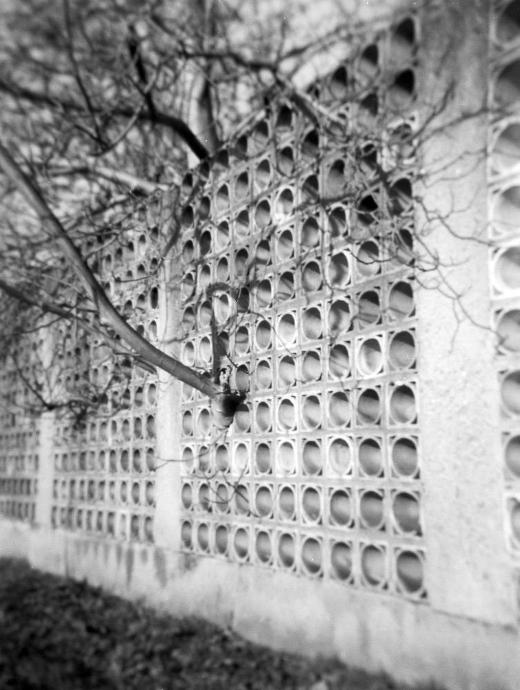 Wall