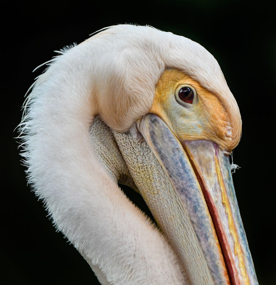 Photograph by Gimantha Perera