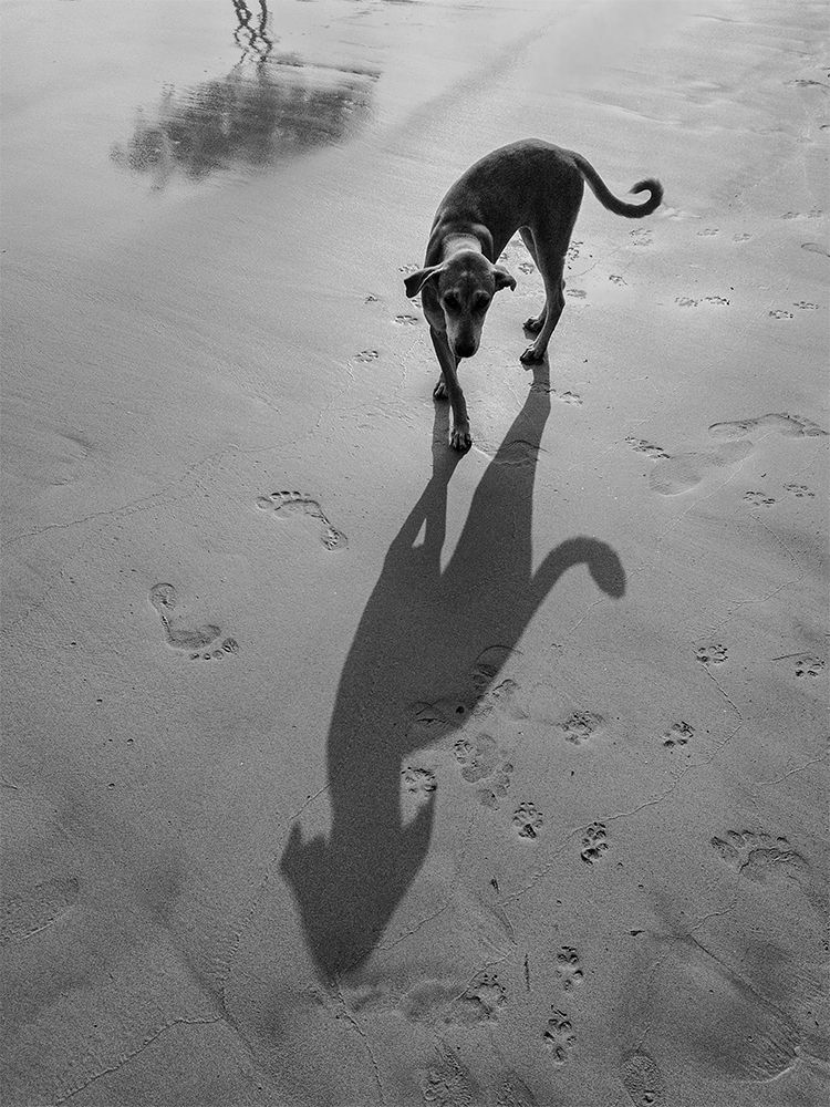 Photograph by Sasindu Pramuditha