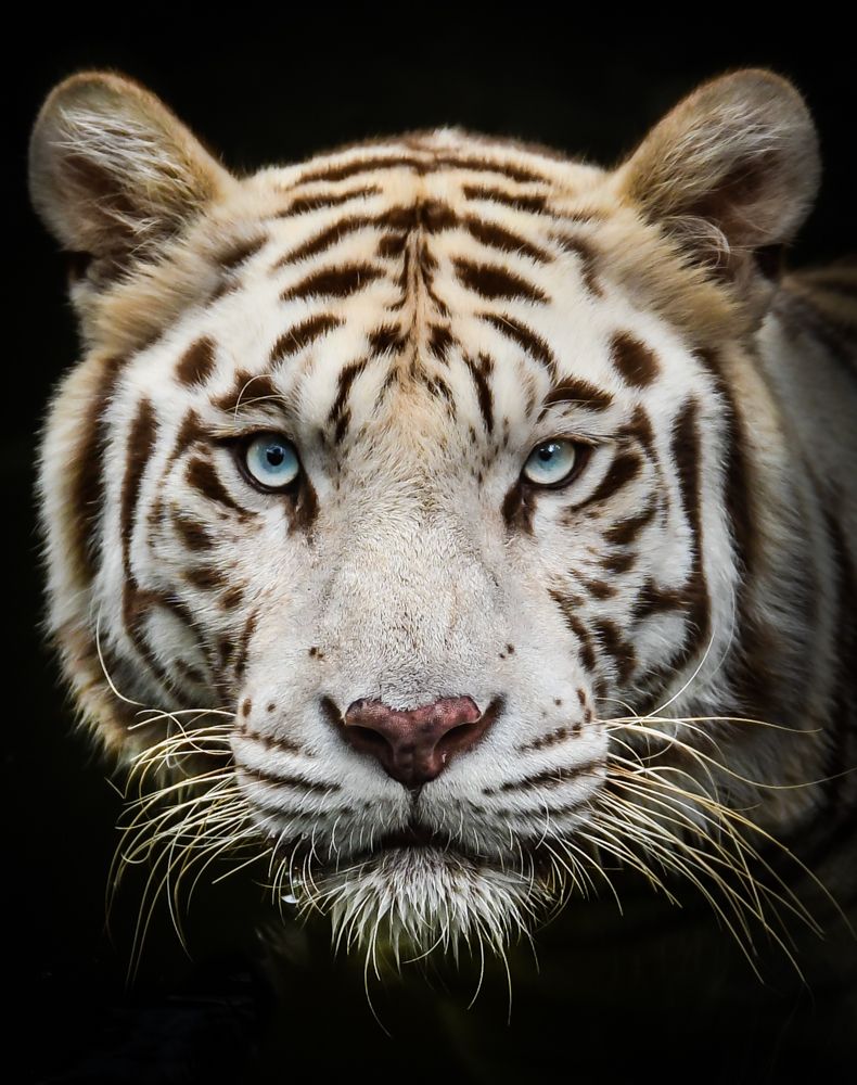 Photograph by Gimantha Perera