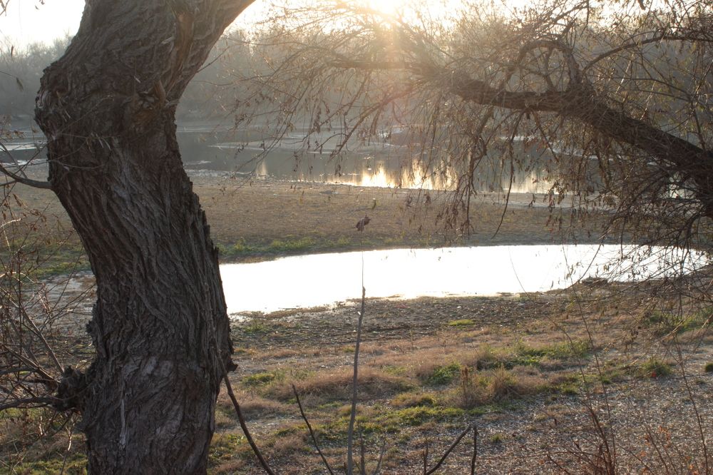 Photograph by Рамиль Давлетбаев