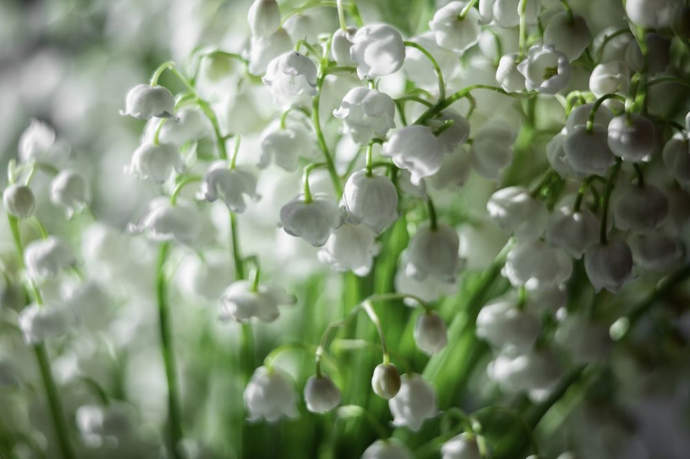 Photograph by Елена Игонина