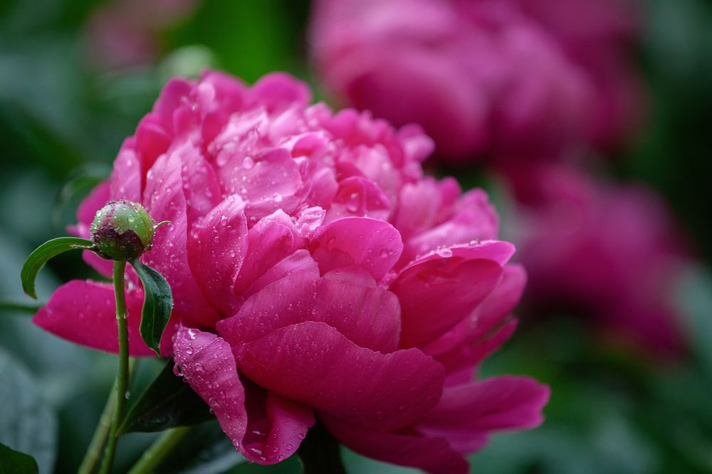 Photograph by Елена Игонина