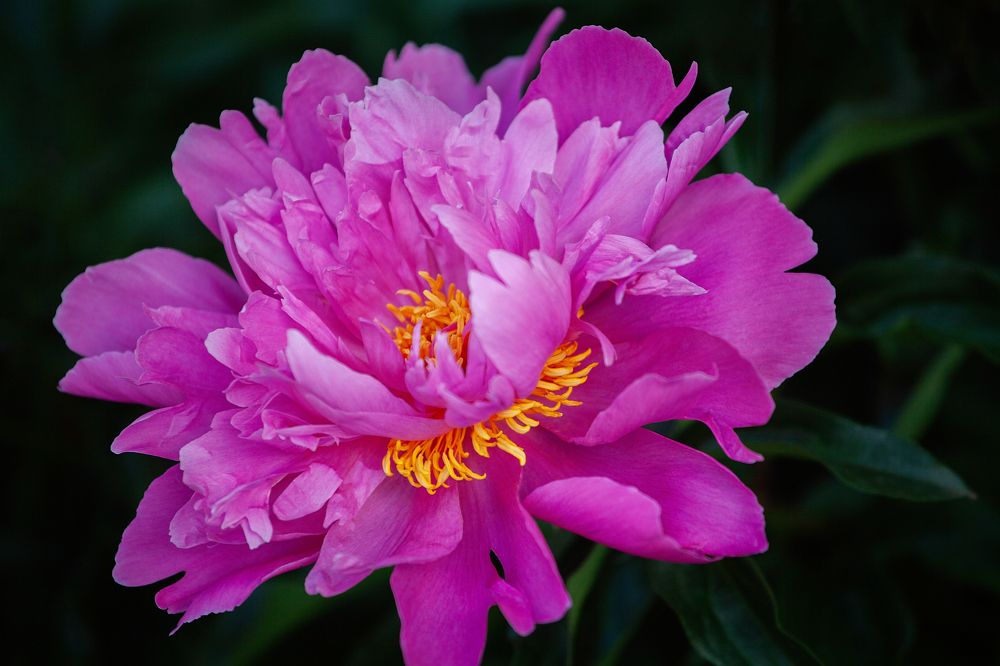 Photograph by Елена Игонина