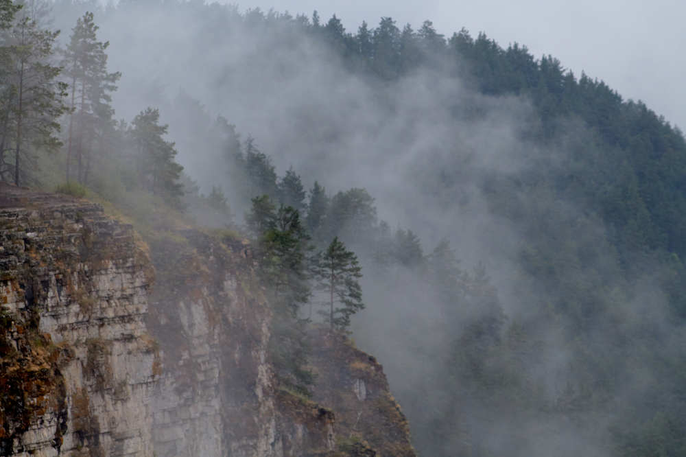 Photograph by Василий Дворецкий