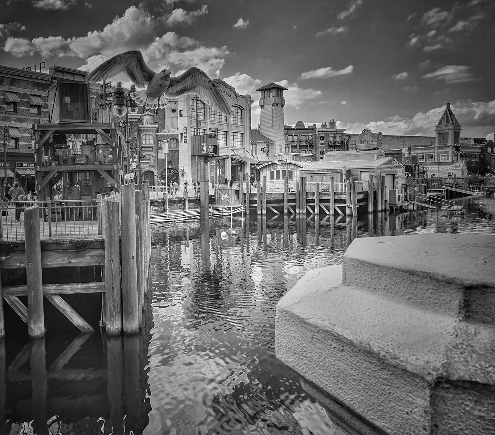 Photograph by Mauricio Mora Flores