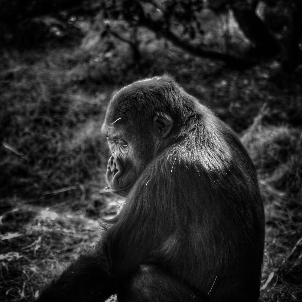 Photograph by Mauricio Mora Flores