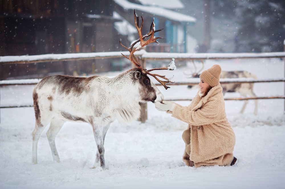 Photograph by Екатерина Дорофеева