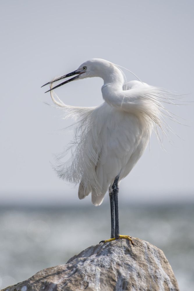 Photograph by Laila Bidah