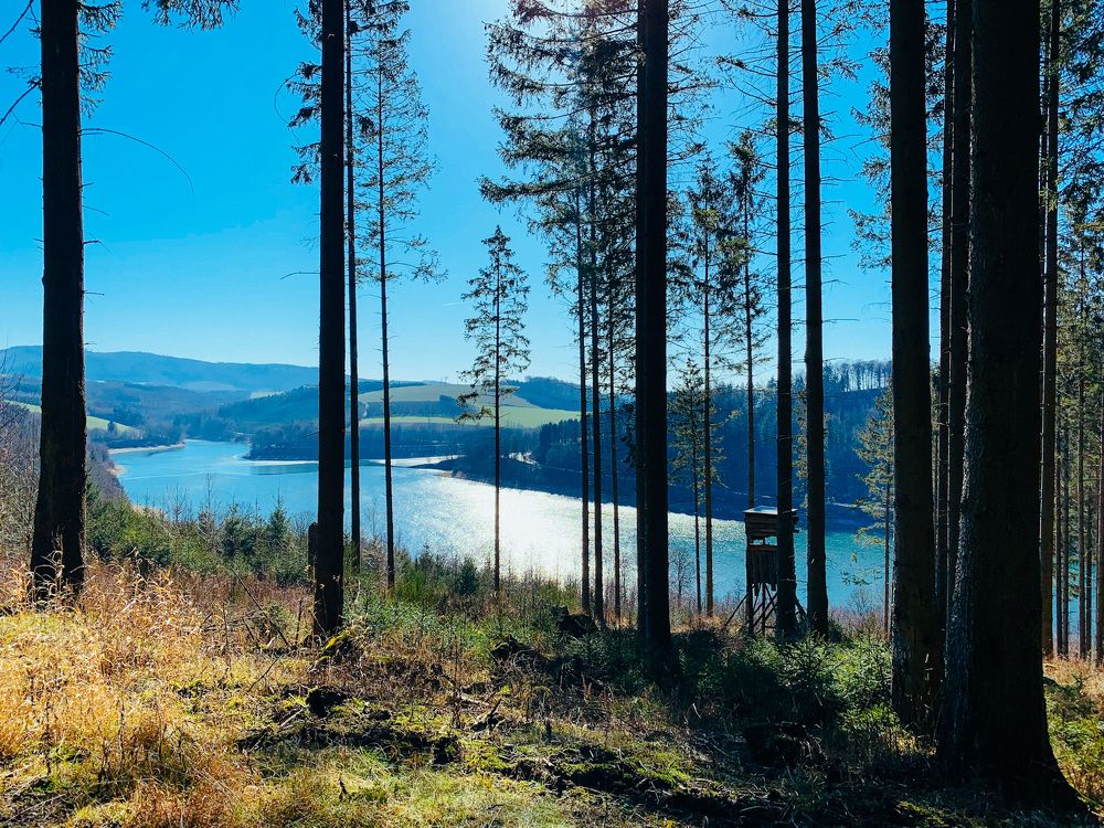 Photograph by Irina Chekanov