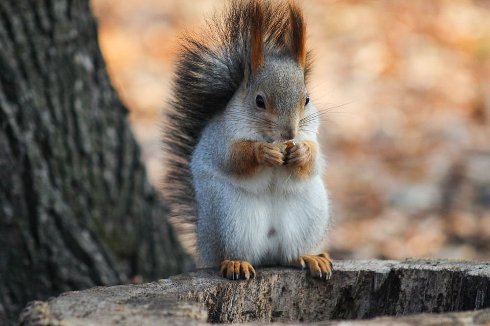 Photograph by Elena Khalizova