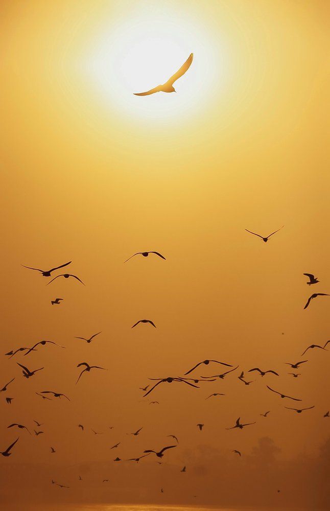 Photograph by Asha Kumari