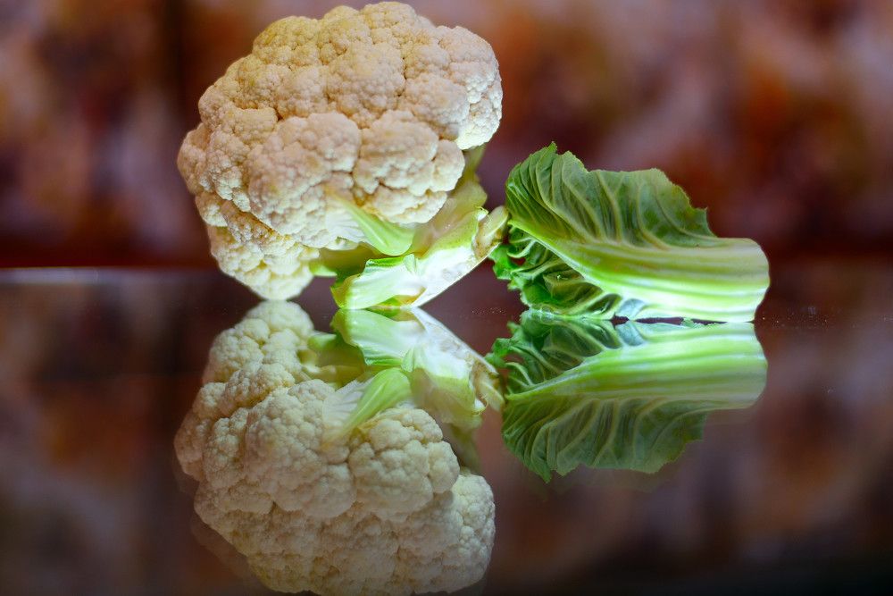 Photograph by Vijay Singh Chandel