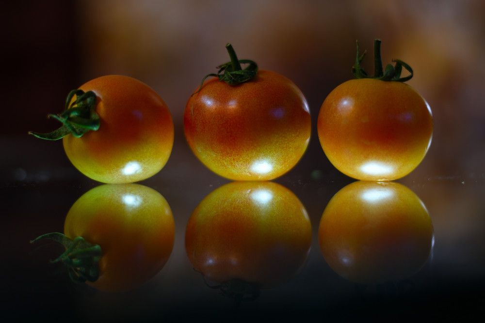 Photograph by Vijay Singh Chandel