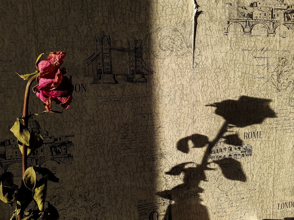 Photo #5954110