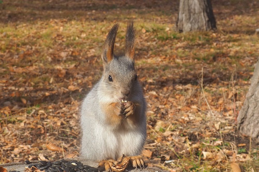 Photograph by Elena Khalizova