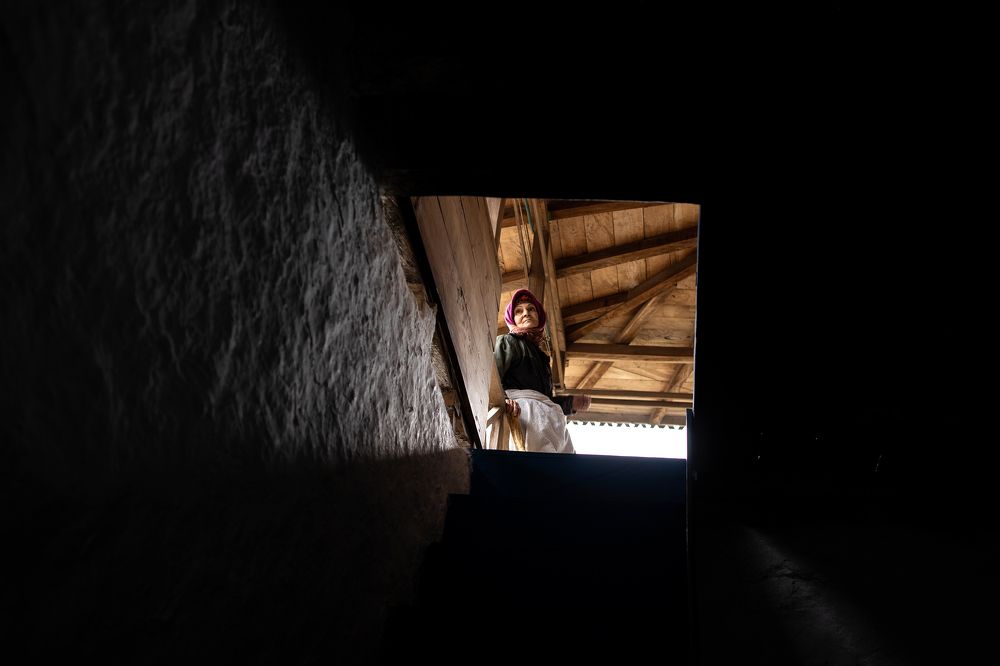 Photograph by Ali Shafie Koli