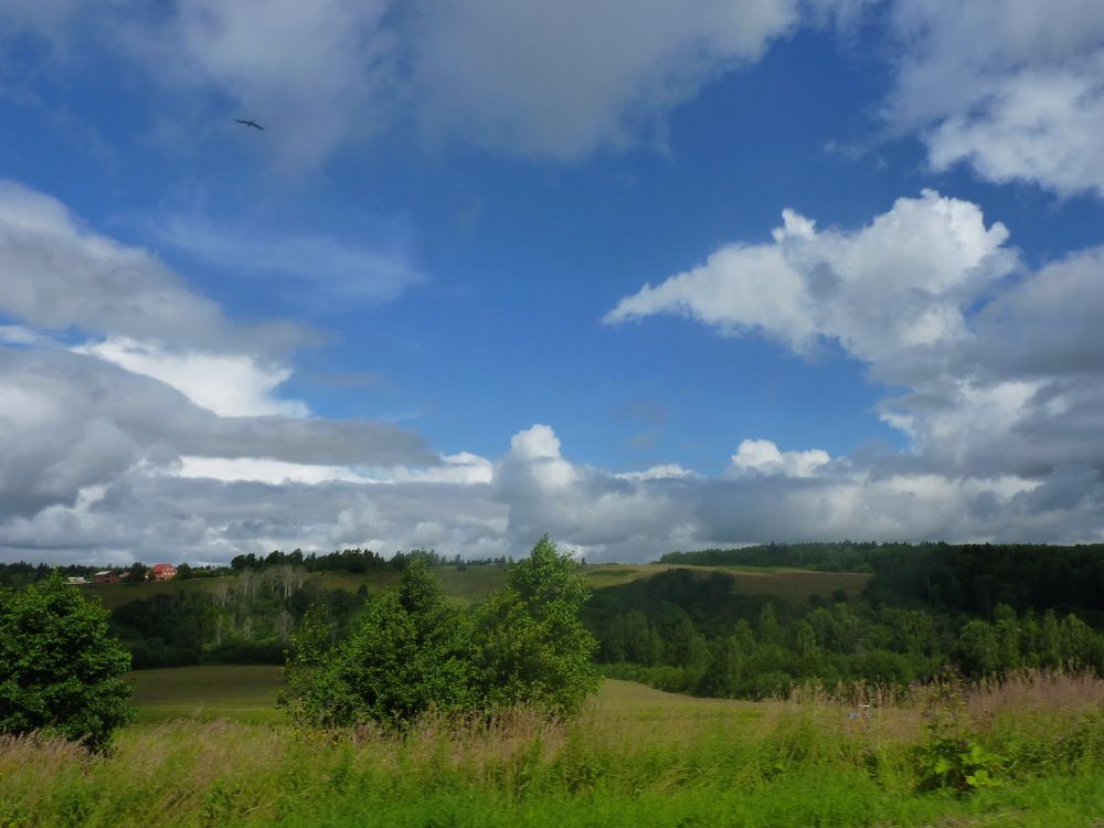 Photograph by Galina Leskova