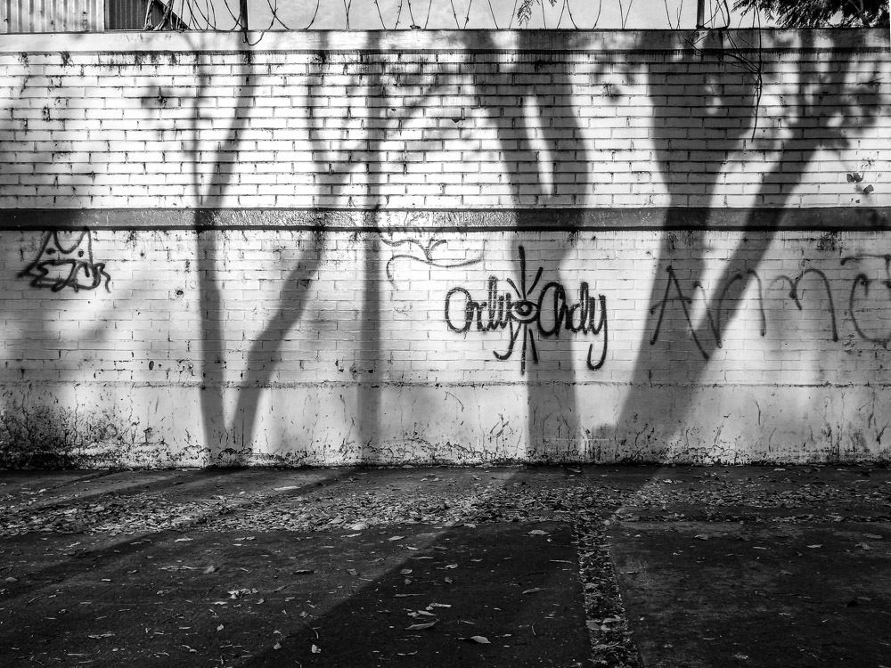 Photograph by Ingrid García